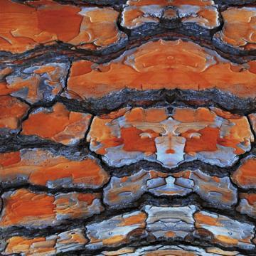 Sample of Orange Stone - Alloy Digital Mural Wallpaper M8928