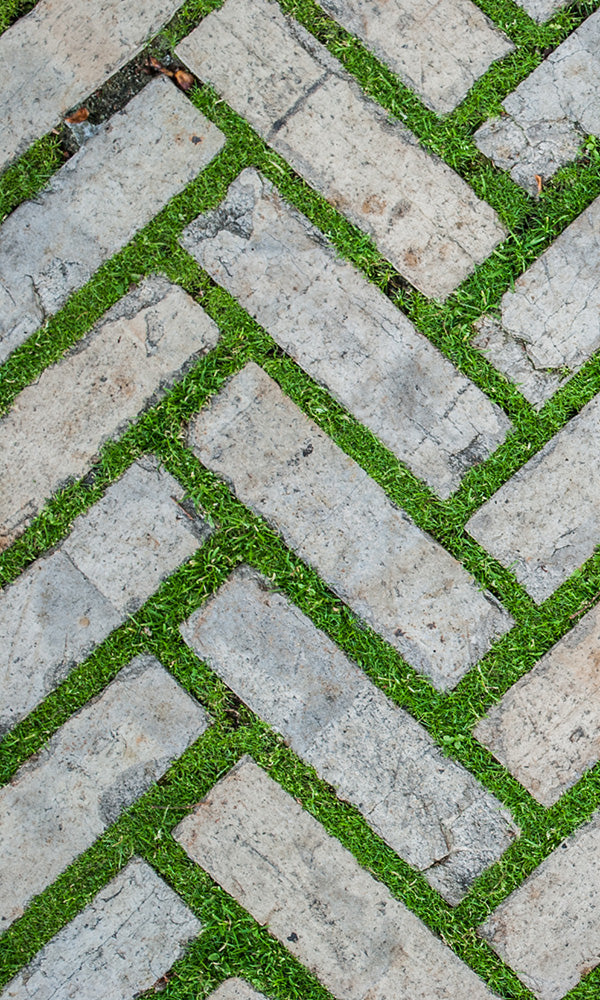 Refreshing Grassy Zig - Zag Geometric Nature Wall Mural Wallpaper M9581