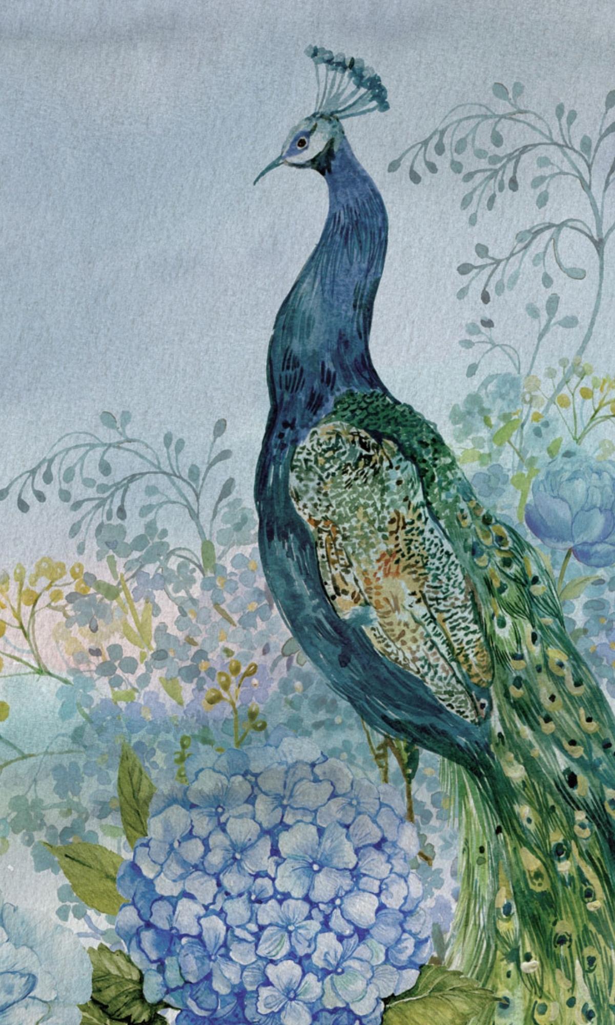 Exquisite Blue Peacock in Flower Garden Digital Mural Wallpaper M1155