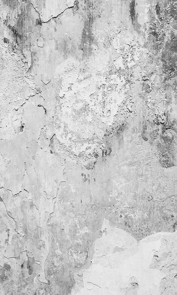 Distressed Grey Concrete - Style Wallpaper Mural M9455