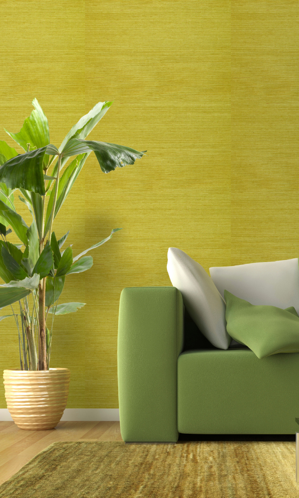 Majestic Natural Green Ramie Grasscloth Wallcovering Wallpaper R2013