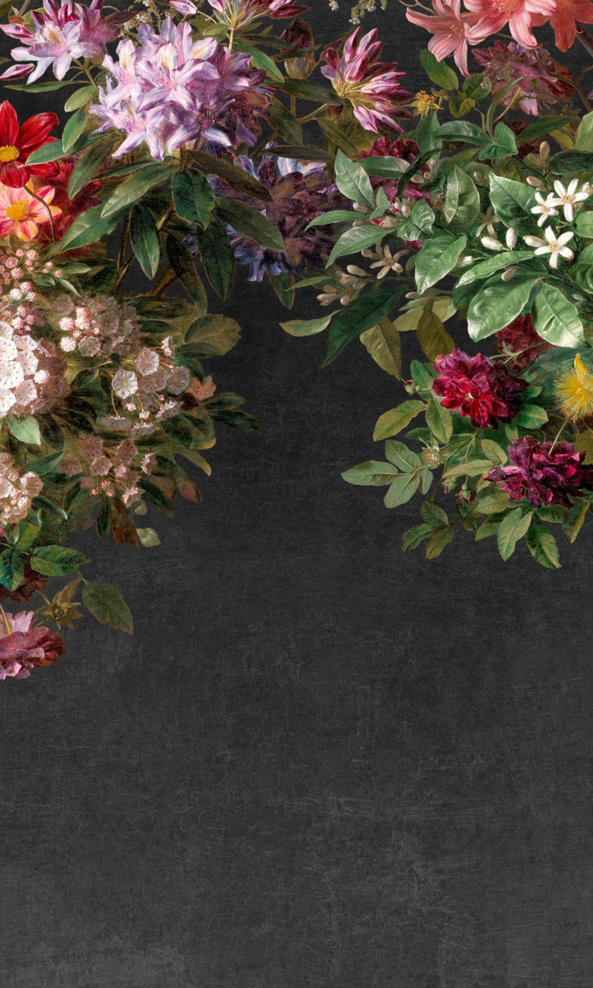 Black Wall Hanging Bold Wild Roses Floral Blossoms Decorative Wallpaper RM2085