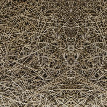 Nest Patterned Digital Wallpaper Mural - Nest M8933