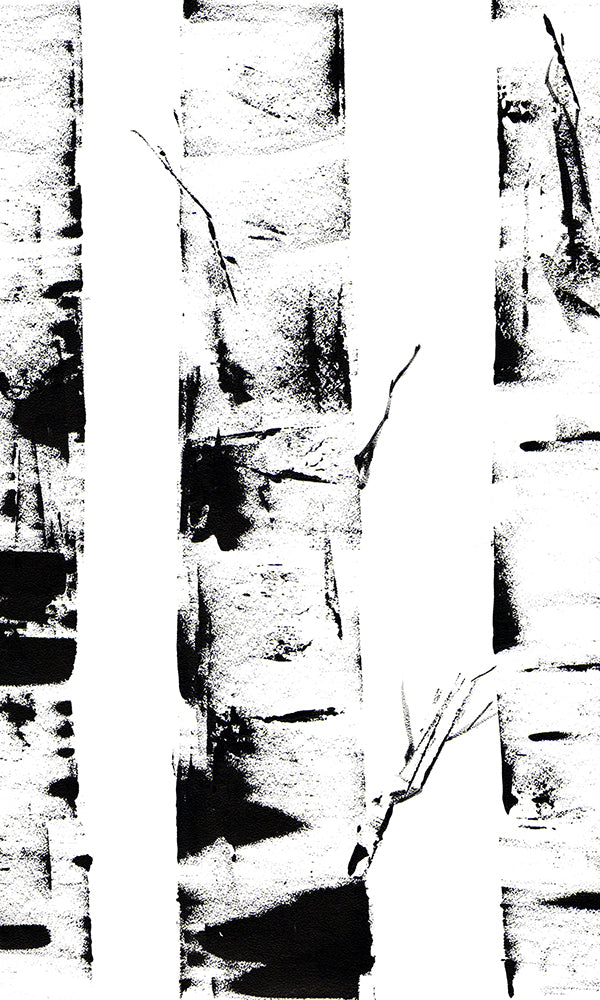 Ink-painted Birch Tree Trunks Wall Mural Wallpaper M9451