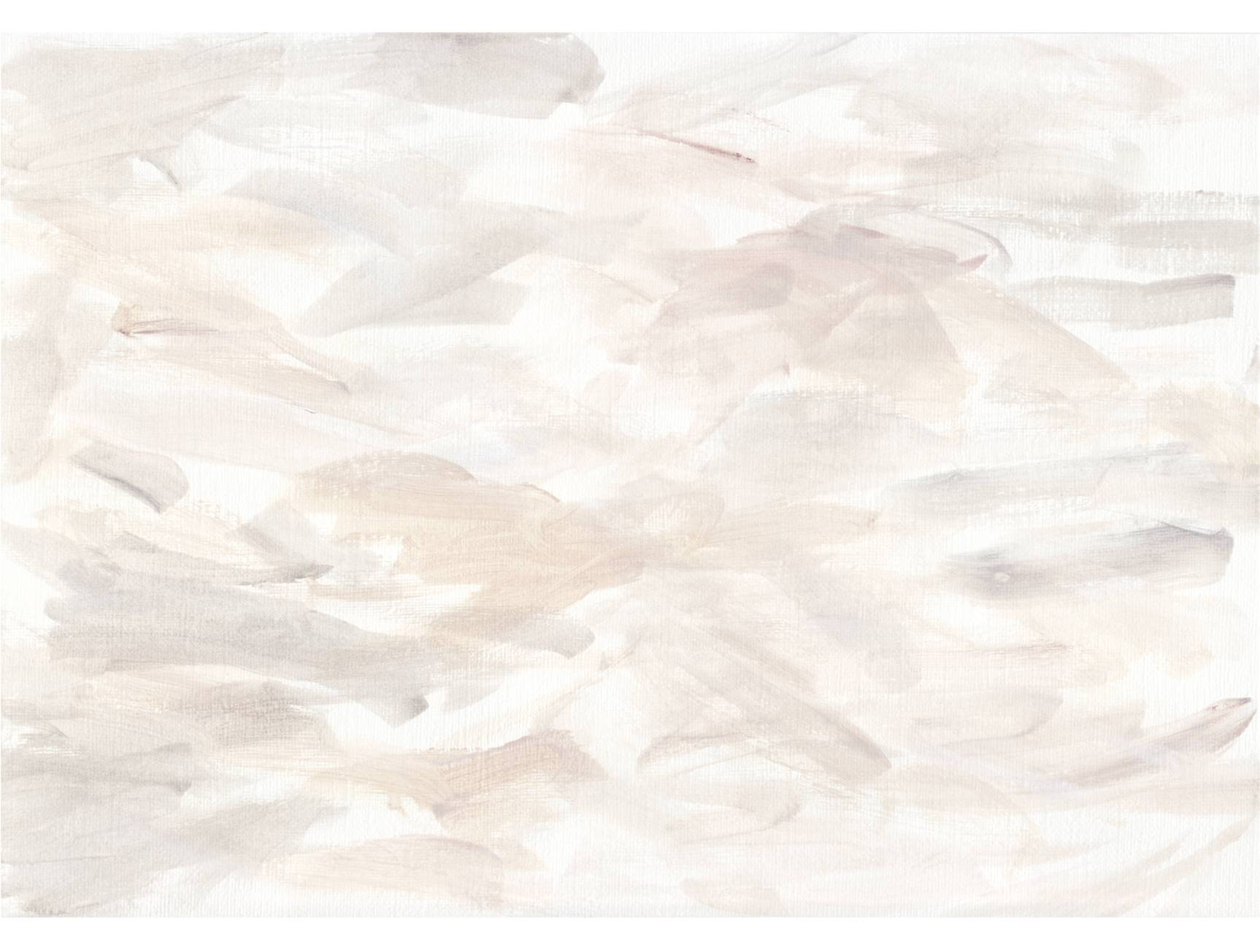 Elegant Neutral Soft Abstract Design Mural Wallpaper M1359