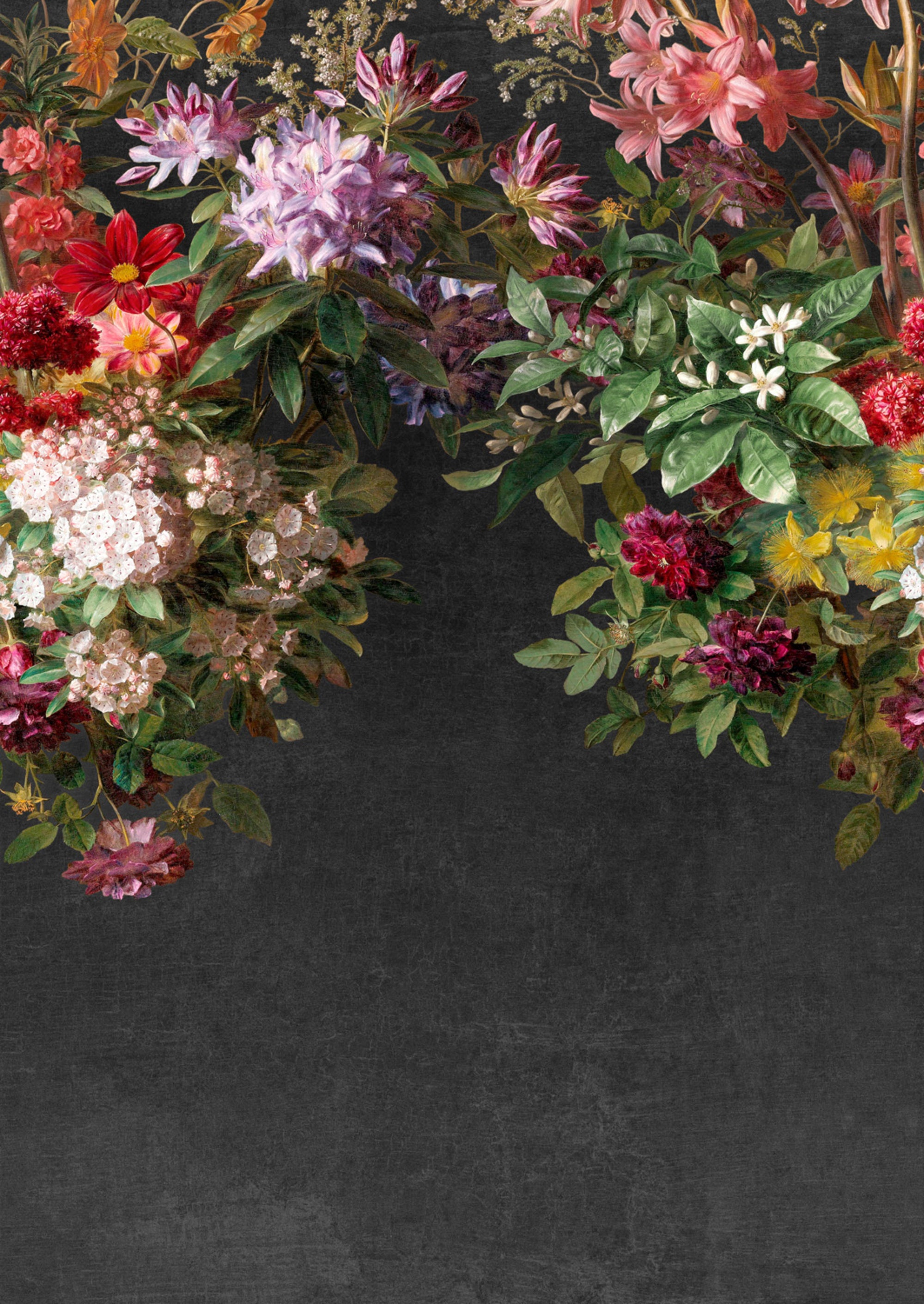 Black Wall Hanging Bold Wild Roses Floral Blossoms Decorative Wallpaper RM2085