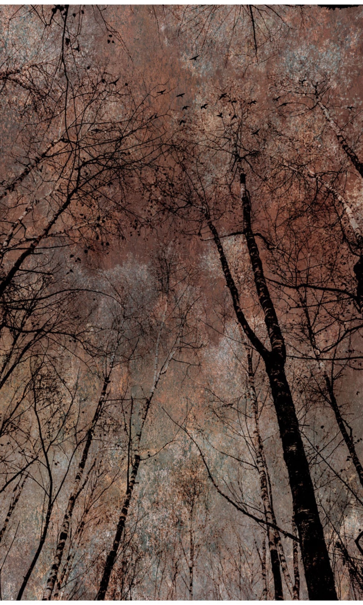 Exquisite Orange and Golden Hued Trees Mural Wallpaper Design M1142