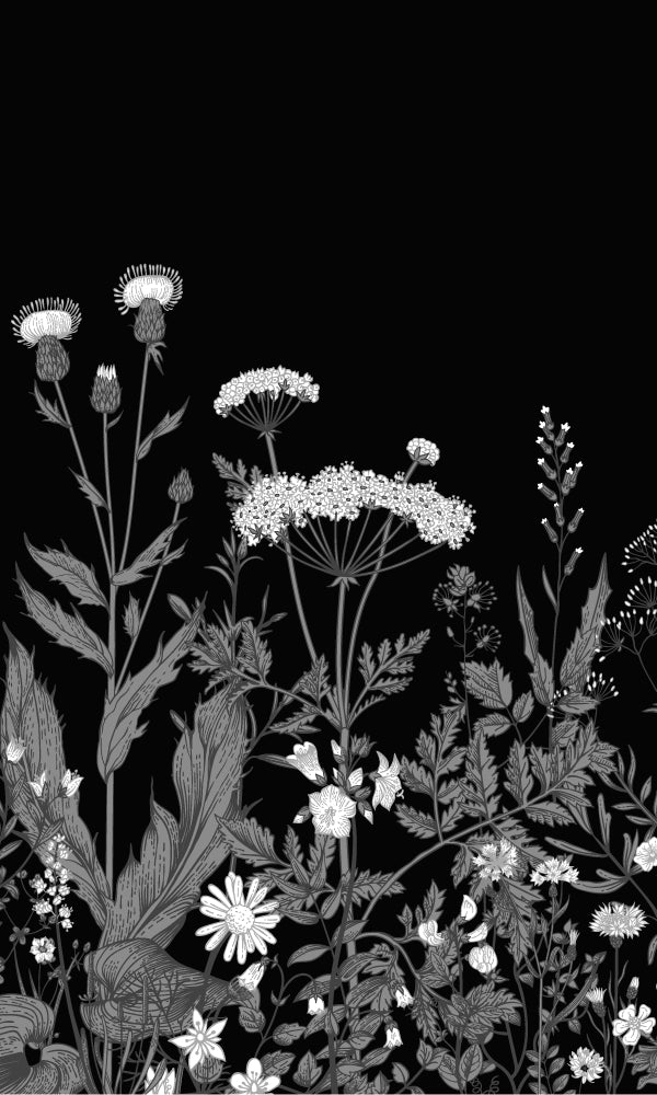 Black and White Illustrated Wildflower Blooming Mural Wallpaper M9443