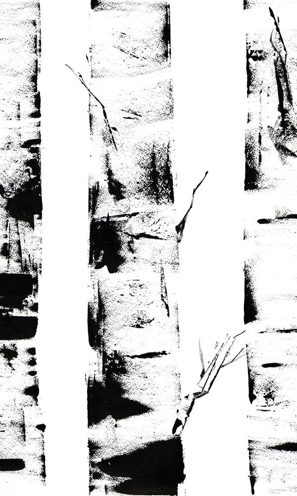 Sample of Hand - Drawn Ink - Styled Birch Trunks Mural Wallpaper M9451 for Interior Decoration