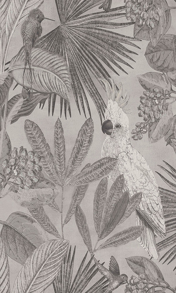 Grey Contemporary Jungle Themed Tropical Paradise Wallpaper R6037 for Interior Decoration