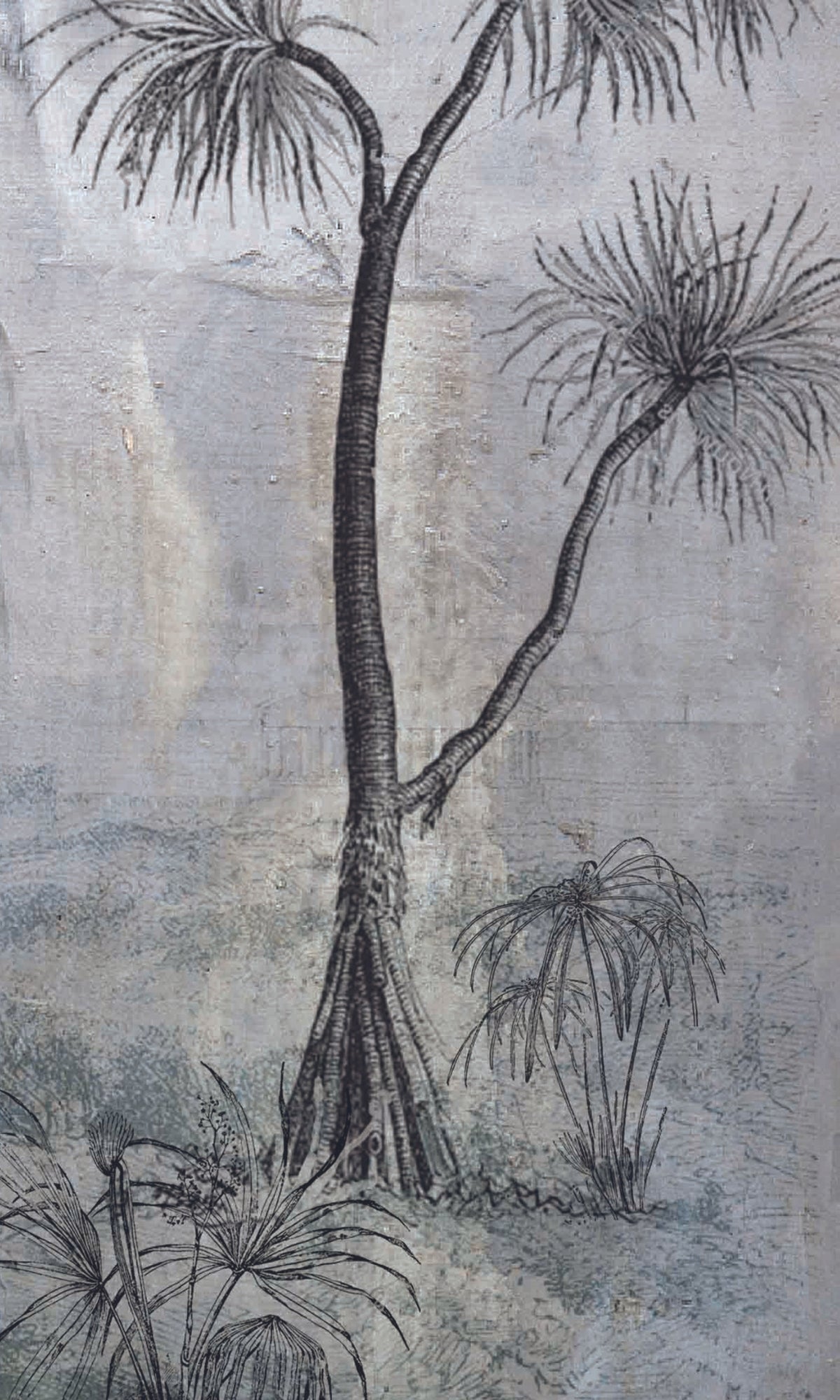 Exquisite Gray Tropical Tree Mural Wallpaper M1174 for Stunning Interiors