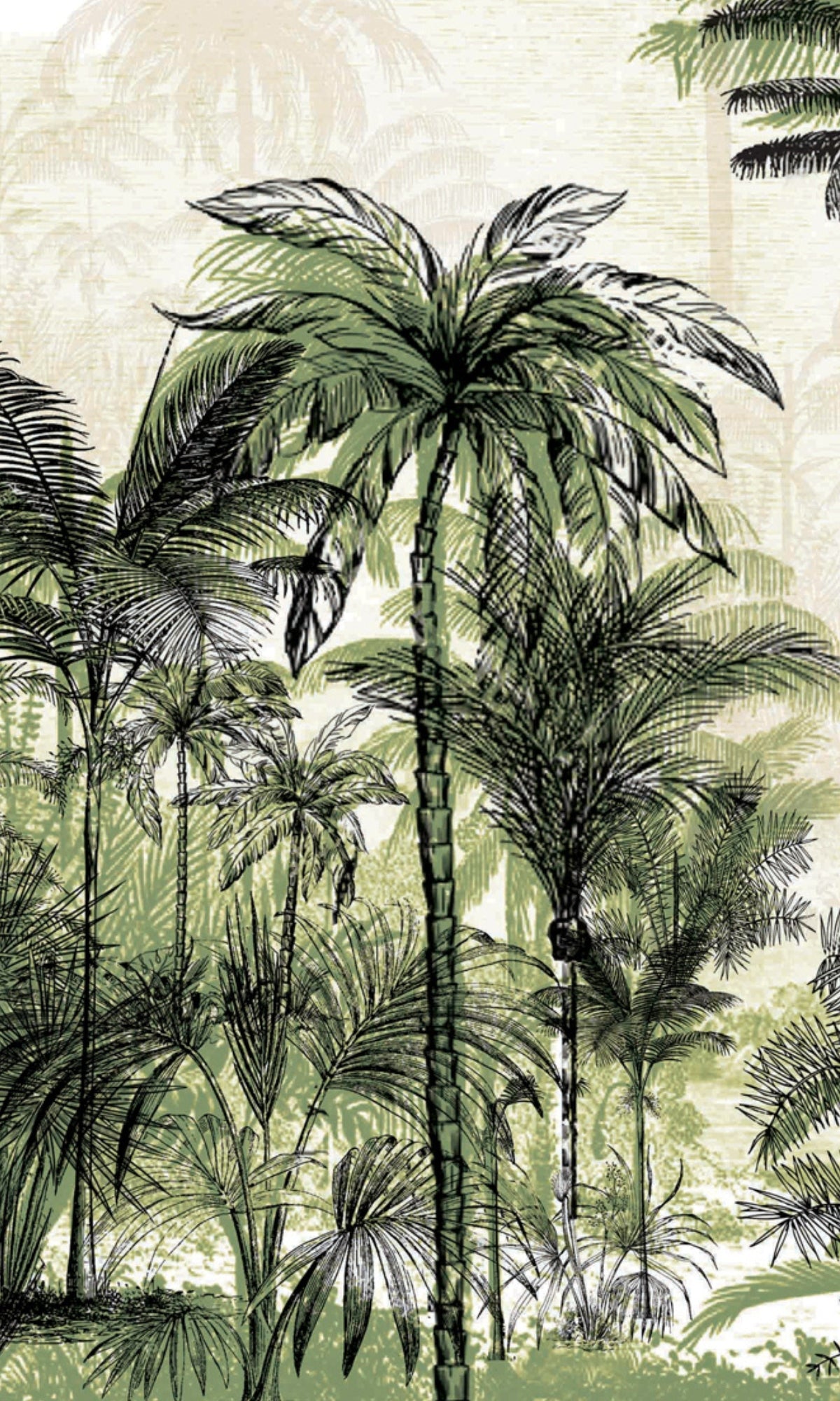 Exquisite Green Tall Coconut Trees Mural Wallpaper M1179 for Tropical Decor