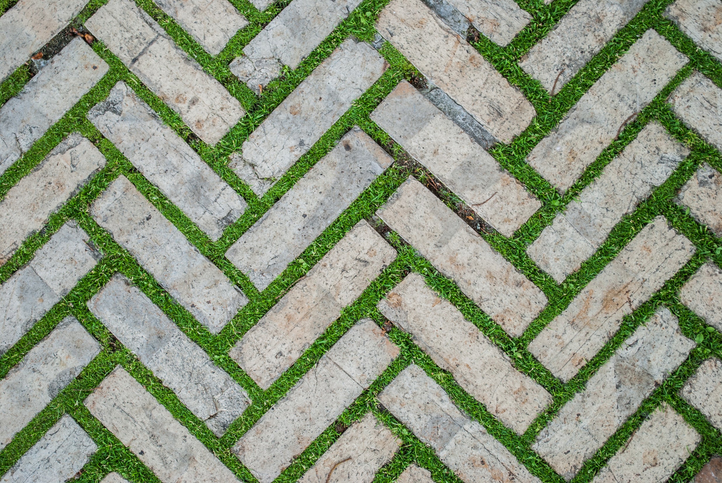 Refreshing Grassy Zig - Zag Geometric Nature Wall Mural Wallpaper M9581