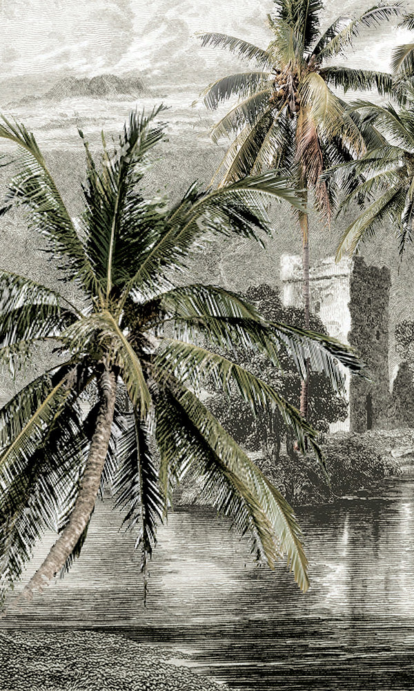 Vintage Tropical Beach Landscape Engraved Illustration Mural Wallpaper M9624