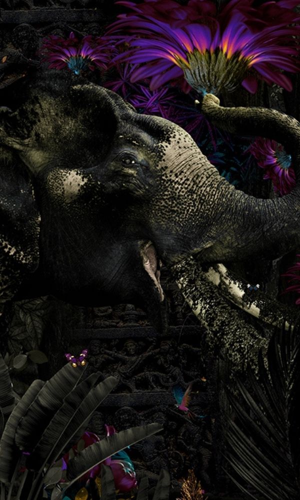 Beautiful Violet-Colored Indian Elephant Wallpaper Mural Depicting a Scene in The Forest - M1053