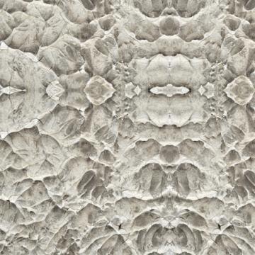 Exquisite Nodes M8950 Organic Monochrome Digital Wallpaper Mural Sample