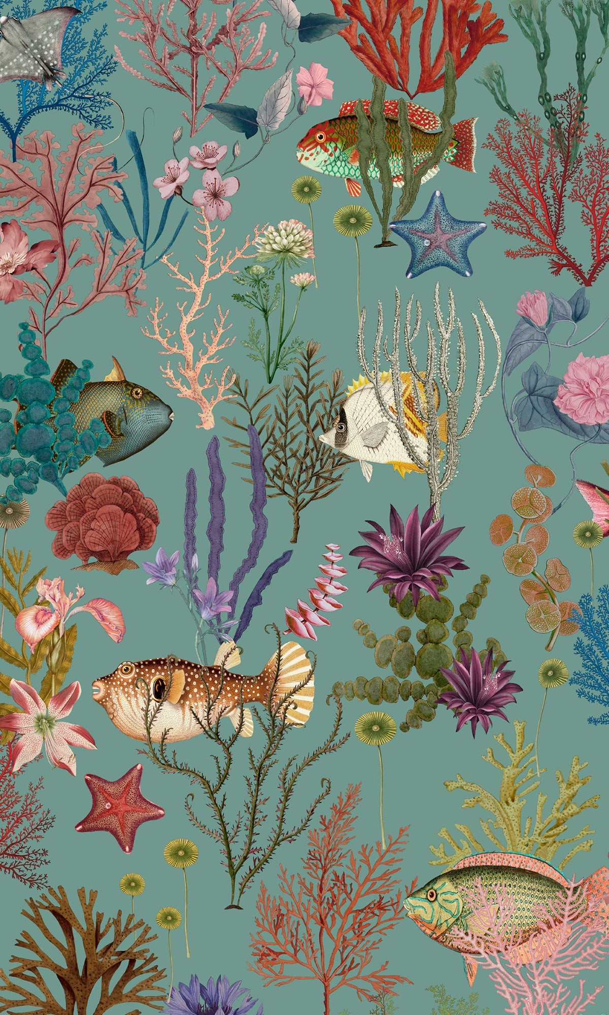 Soft Underwater Ocean Scene with Fishes and Colorful Corals Decorative Wallpaper RM9014