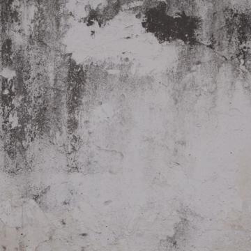 Stylish Grey Cold Concrete Digital Wallpaper Mural M9216 for Interior Decoration