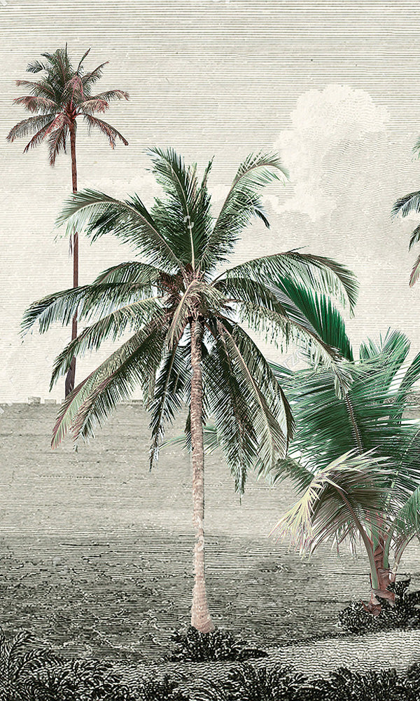 Vintage Style Tropical Beach Landscape Engraved Illustration Mural Wallpaper M9591