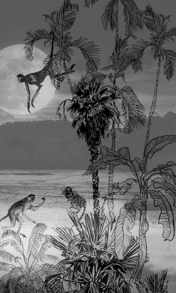 Stunning Black & White Nighttime Climbing Monkeys Wallpaper Mural M9981