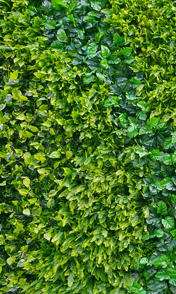 Wild Foliage Wall Mural Wallpaper M9579 - Decorative Sample